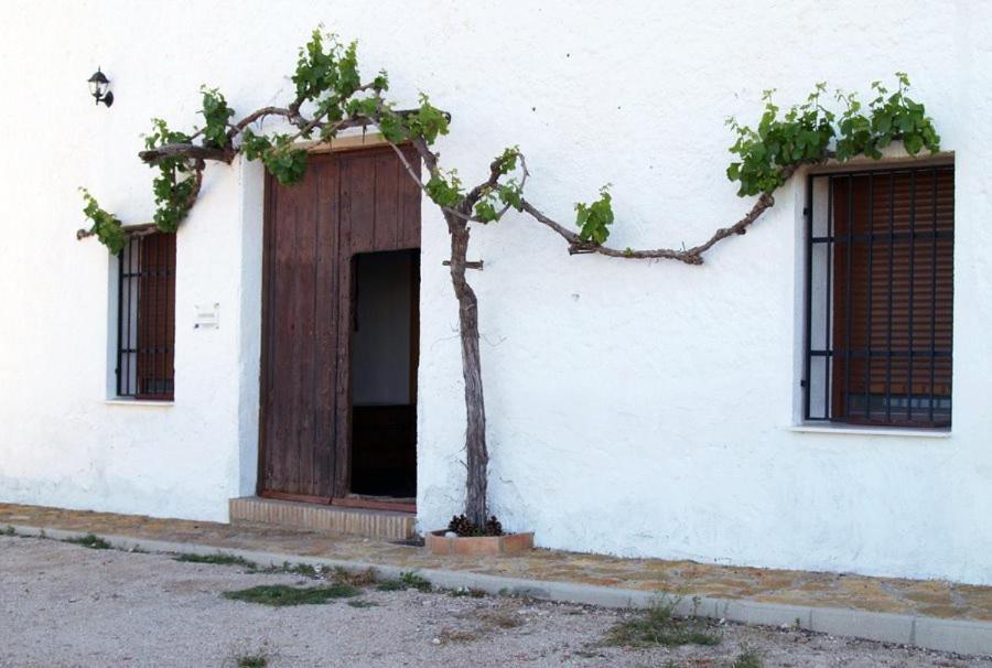 Casa Rural Casa Maxima Yecla Kamer foto